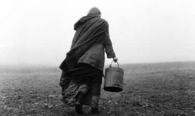 turin horse